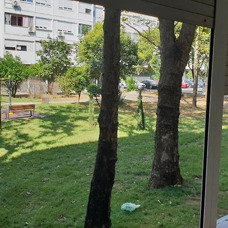 Yellow Apartment, Central 波德戈里察 外观 照片